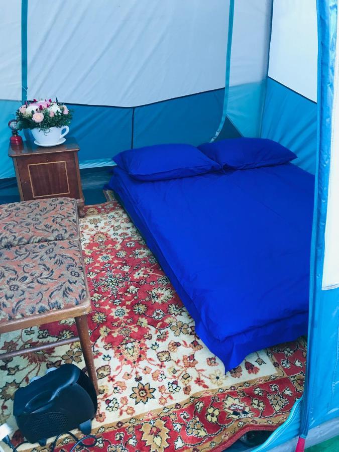 מלון Sanain Tereza Glamping מראה חיצוני תמונה