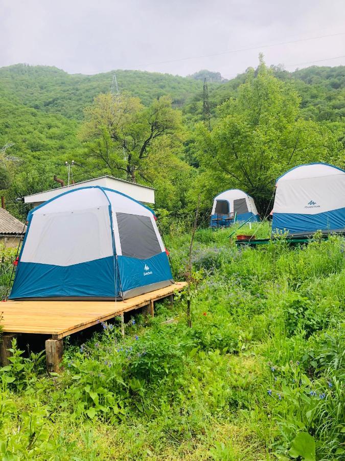 מלון Sanain Tereza Glamping מראה חיצוני תמונה